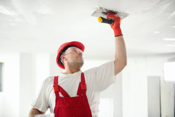 Best Interior Painting  in Paonia, CO